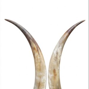 Polished Natural Drinking Horn – Large Curved Viking-Style Horn Cup for Beer, Mead & Wine